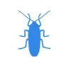 Уничтожение тараканов в Пушкино